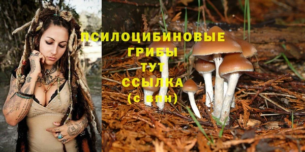 наркотики Алексеевка