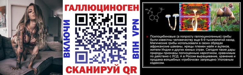 Галлюциногенные грибы GOLDEN TEACHER  Новоалександровск 